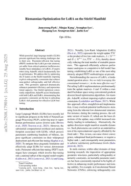 Riemannian Optimization for LoRA on the Stiefel Manifold
