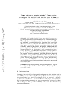 Does simple trump complex? Comparing strategies for adversarial robustness in DNNs