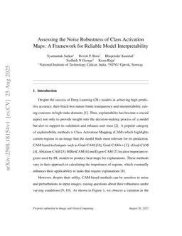 Assessing the Noise Robustness of Class Activation Maps: A Framework for Reliable Model Interpretability