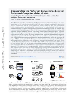 Disentangling the Factors of Convergence between Brains and Computer Vision Models