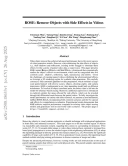 ROSE: Remove Objects with Side Effects in Videos