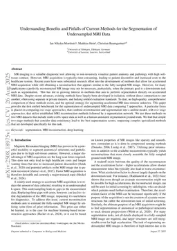 Understanding Benefits and Pitfalls of Current Methods for the Segmentation of Undersampled MRI Data