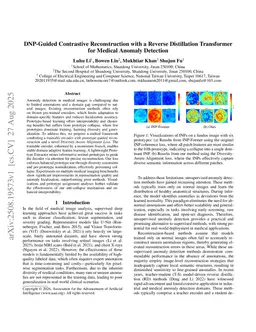 DNP-Guided Contrastive Reconstruction with a Reverse Distillation Transformer for Medical Anomaly Detection