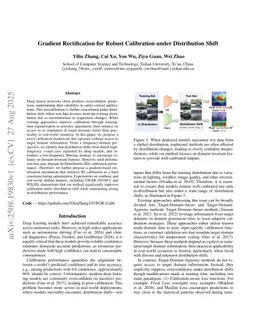 Gradient Rectification for Robust Calibration under Distribution Shift