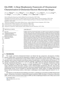 Glo-UMF: A Unified Multi-model Framework for Automated Morphometry of Glomerular Ultrastructural Characterization