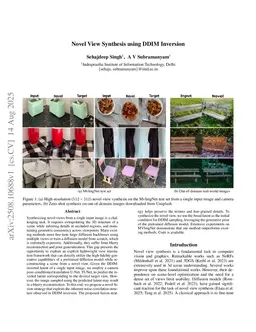 Novel View Synthesis using DDIM Inversion