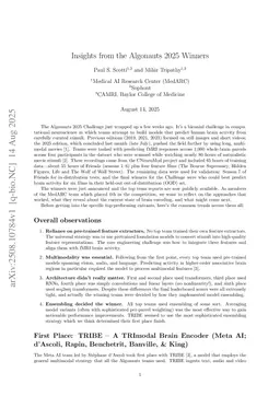 Insights from the Algonauts 2025 Winners