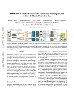 MAESTRO: Masked AutoEncoders for Multimodal, Multitemporal, and Multispectral Earth Observation Data
