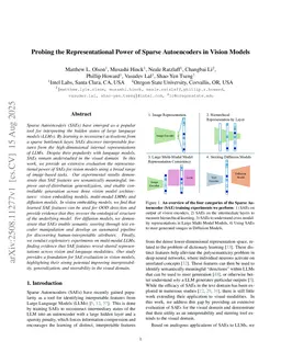 Probing the Representational Power of Sparse Autoencoders in Vision Models