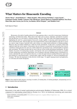 What Matters for Bioacoustic Encoding