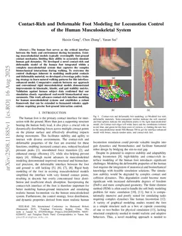 Contact-Rich and Deformable Foot Modeling for Locomotion Control of the Human Musculoskeletal System