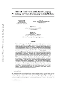 VELVET-Med: Vision and Efficient Language Pre-training for Volumetric Imaging Tasks in Medicine