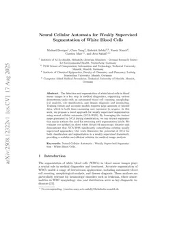 Neural Cellular Automata for Weakly Supervised Segmentation of White Blood Cells