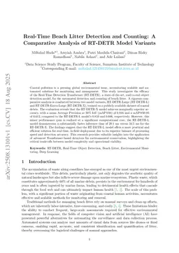 Real-Time Beach Litter Detection and Counting: A Comparative Analysis of RT-DETR Model Variants