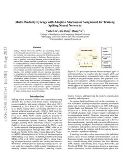 Multi-Plasticity Synergy with Adaptive Mechanism Assignment for Training Spiking Neural Networks
