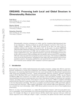 DREAMS: Preserving both Local and Global Structure in Dimensionality Reduction