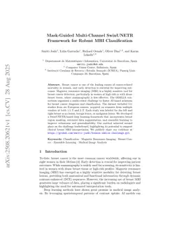 Mask-Guided Multi-Channel SwinUNETR Framework for Robust MRI Classification