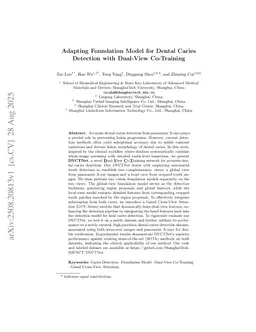 Adapting Foundation Model for Dental Caries Detection with Dual-View Co-Training