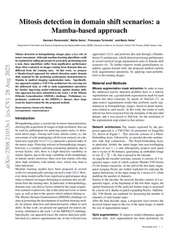 Mitosis detection in domain shift scenarios: a Mamba-based approach