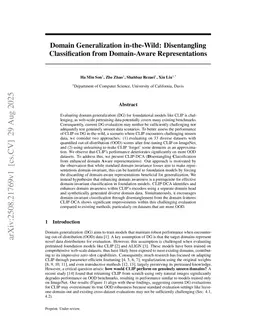 Domain Generalization in-the-Wild: Disentangling Classification from Domain-Aware Representations