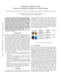 Crossing the Species Divide: Transfer Learning from Speech to Animal Sounds