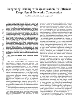 Integrating Pruning with Quantization for Efficient Deep Neural Networks Compression