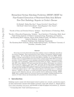 Hierarchical Section Matching Prediction (HSMP) BERT for Fine-Grained Extraction of Structured Data from Hebrew Free-Text Radiology Reports in Crohn's Disease