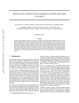 Should We Always Train Models on Fine-Grained Classes?