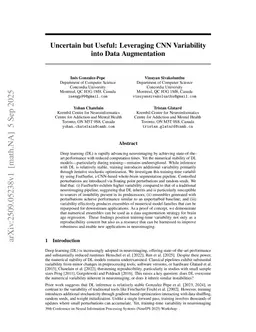 Uncertain but Useful: Leveraging CNN Variability into Data Augmentation