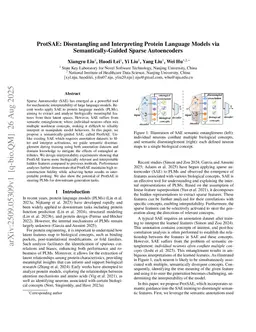ProtSAE: Disentangling and Interpreting Protein Language Models via Semantically-Guided Sparse Autoencoders