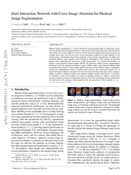 Dual Interaction Network with Cross-Image Attention for Medical Image Segmentation