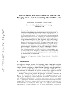 Spatial-Aware Self-Supervision for Medical 3D Imaging with Multi-Granularity Observable Tasks