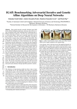 IGAff: Benchmarking Adversarial Iterative and Genetic Affine Algorithms on Deep Neural Networks