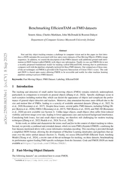Benchmarking EfficientTAM on FMO datasets