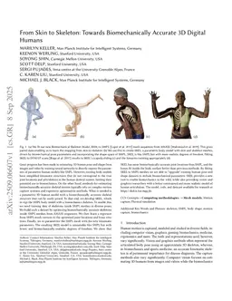 From Skin to Skeleton: Towards Biomechanically Accurate 3D Digital Humans