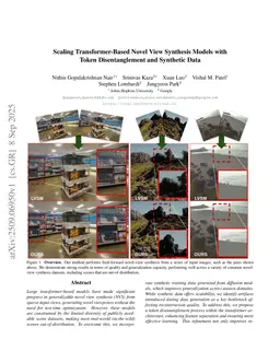 Scaling Transformer-Based Novel View Synthesis Models with Token Disentanglement and Synthetic Data