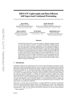 DIET-CP: Lightweight and Data Efficient Self Supervised Continued Pretraining