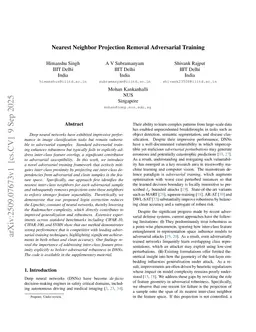 Nearest Neighbor Projection Removal Adversarial Training