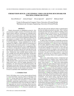 STROKEVISION-BENCH: A Multimodal Video And 2D Pose Benchmark For Tracking Stroke Recovery