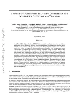 Sparse BEV Fusion with Self-View Consistency for Multi-View Detection and Tracking