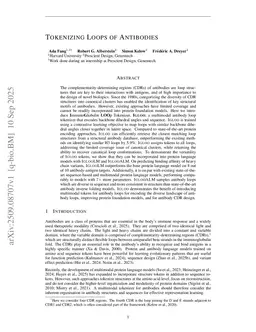 Tokenizing Loops of Antibodies