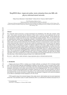 WarpPINN-fibers: improved cardiac strain estimation from cine-MR with physics-informed neural networks