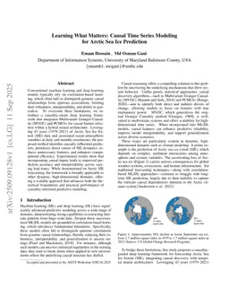 Learning What Matters: Causal Time Series Modeling for Arctic Sea Ice Prediction