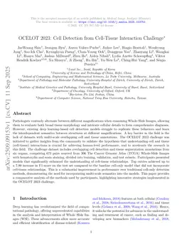 OCELOT 2023: Cell Detection from Cell-Tissue Interaction Challenge