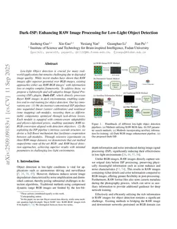Dark-ISP: Enhancing RAW Image Processing for Low-Light Object Detection