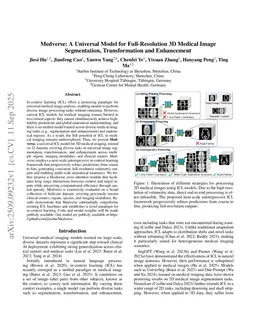 Medverse: A Universal Model for Full-Resolution 3D Medical Image Segmentation, Transformation and Enhancement