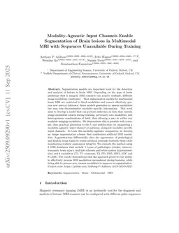 Modality-Agnostic Input Channels Enable Segmentation of Brain lesions in Multimodal MRI with Sequences Unavailable During Training