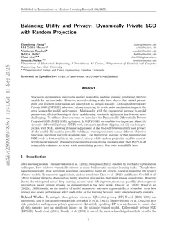 Balancing Utility and Privacy: Dynamically Private SGD with Random Projection