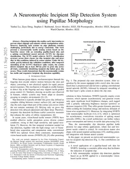 A Neuromorphic Incipient Slip Detection System using Papillae Morphology