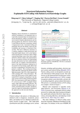 Structured Information Matters: Explainable ICD Coding with Patient-Level Knowledge Graphs